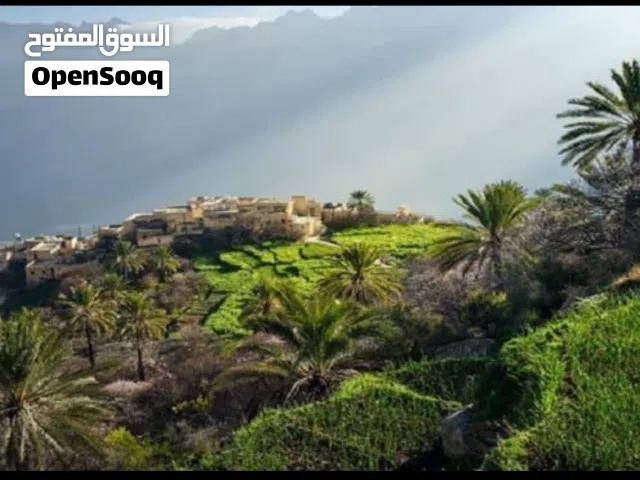 للبيع استراحة – الجبل الأخضر استثمار جاهز + رفاهية في قلب الطبيعة