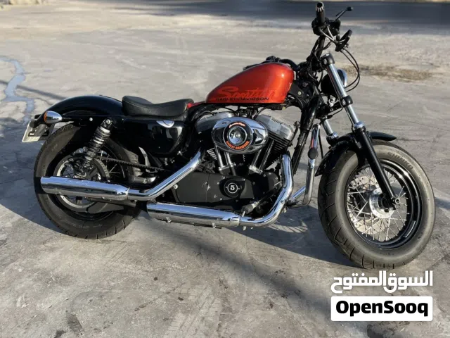 2010 هارلي ديفيدسون Forty Eight