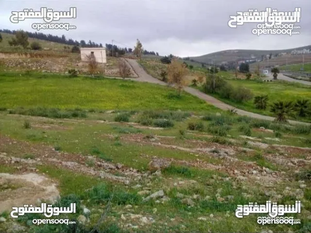 Farm Land for Sale in Mafraq Ain wa Al-Ma'mariyyeh