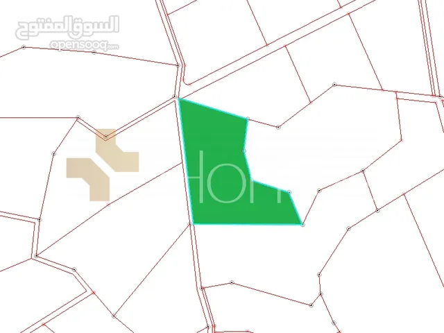 ارض سكنية مطلة على فلسطين للبيع تقع في السلط بمساحة 6900 م