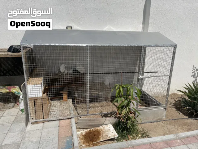 للبيع قفص استخدام شهر فقط