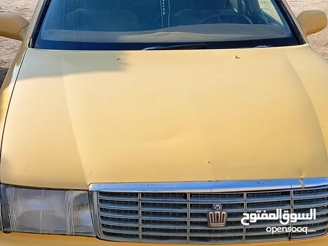 بطة فصل شوف العين