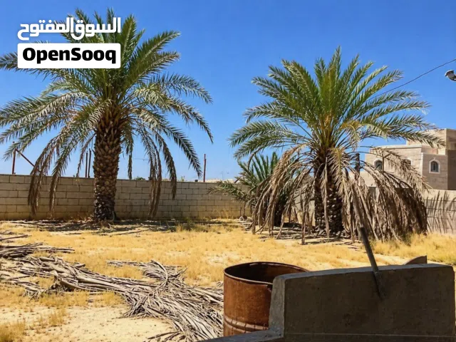 Residential Land for Sale in Jericho Downtown