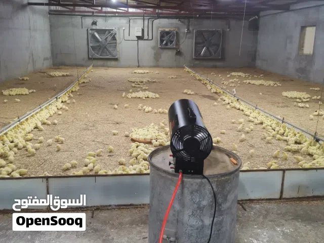 دفايات للحضئر