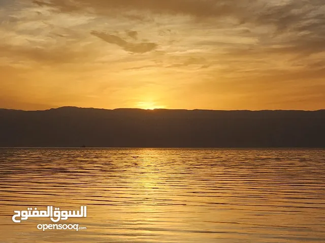 Furnished Daily in Aqaba Ayla