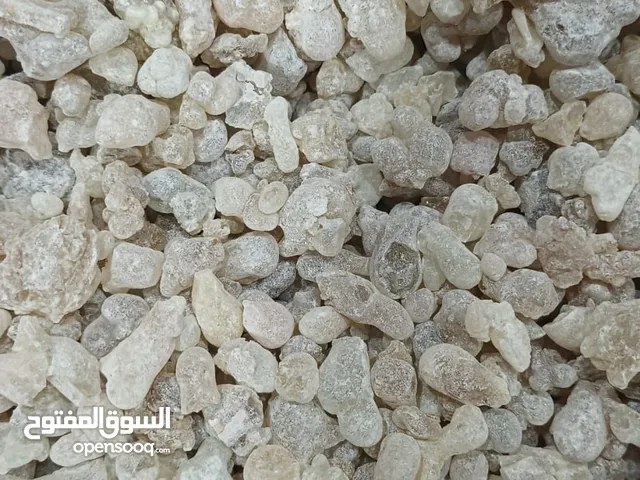 لبان حوجري فاخر(عماني)