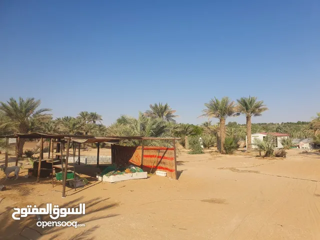 Farm Land for Sale in Abu Dhabi Al Dhafrah