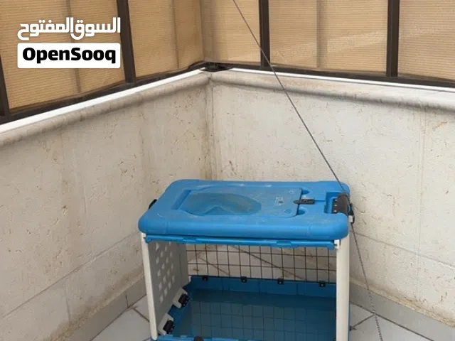 Dog 100jd with all his stuff in a very good price and a dog very clean he lived all his life with us