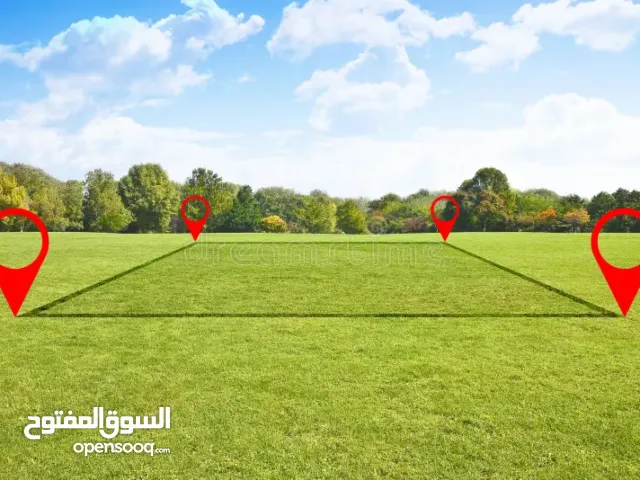 أرض للبيع في نابلس / عصيرة الشمالية حوض واد الصياد مزروعة زيتون متوفر كافة الخدمات اطلالة رائعة