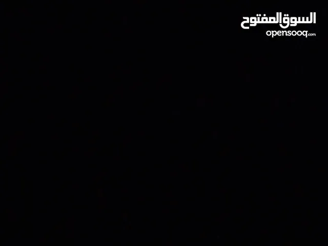 Mahmoud Saleh