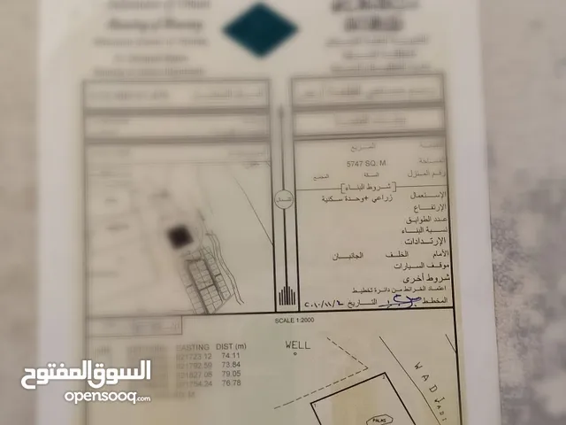 مطلوب ممول لمشروع