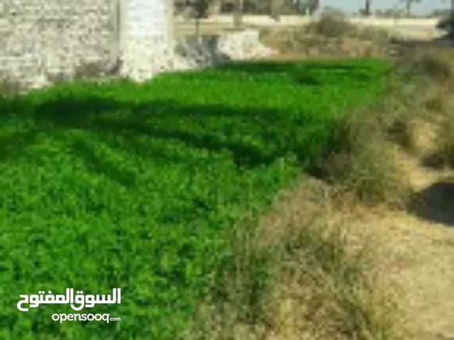 Mixed Use Land for Sale in Assiut Fateh