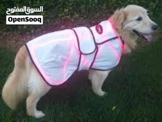 light up dog coat معطف مضيء للكلاب