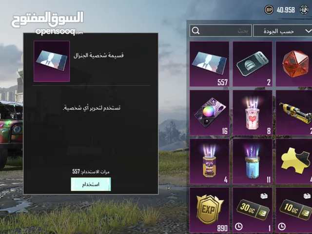 Pubg Accounts and Characters for Sale in Irbid