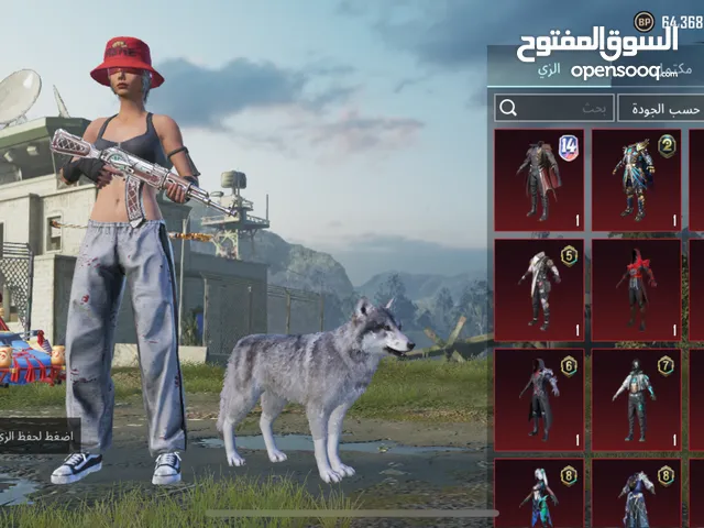 Pubg Accounts and Characters for Sale in Dohuk