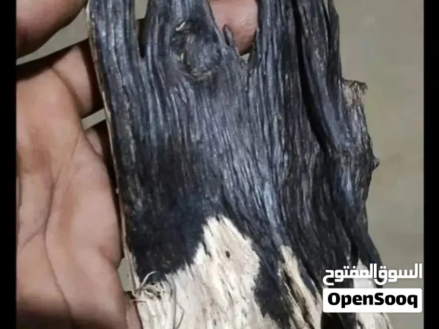 لدي كل الأنواع كل المنتجات كل أنواع العود ودهن العود متوفرة بأسعار الجملة والتجزئة