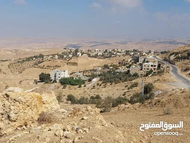 Residential Land for Sale in Amman Naour