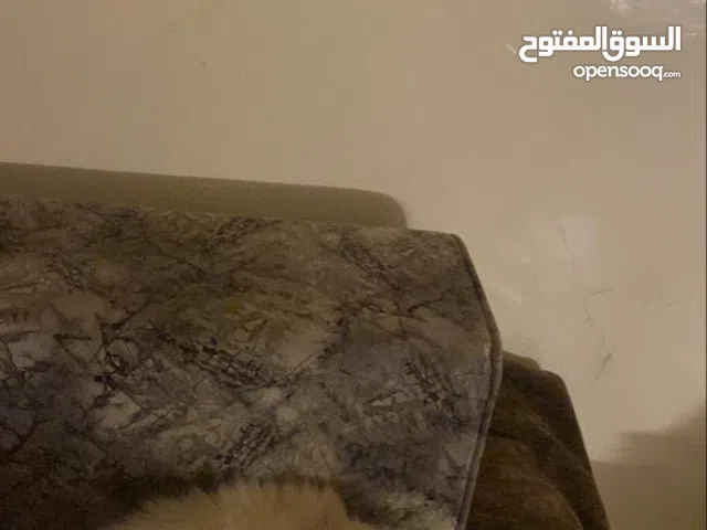 قطه هملاي للبيع المستعجل بسبب السفر