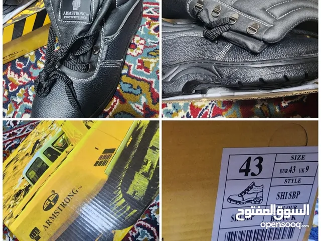 43 Others in Northern Governorate