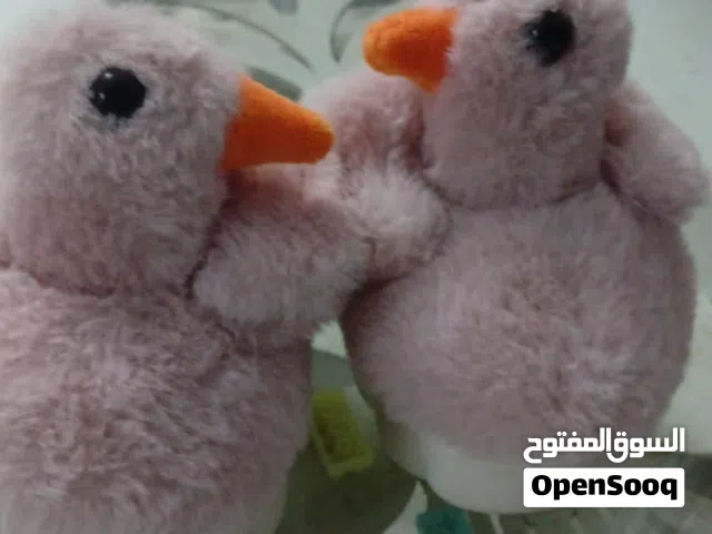 لكلوك اطفال شى إن