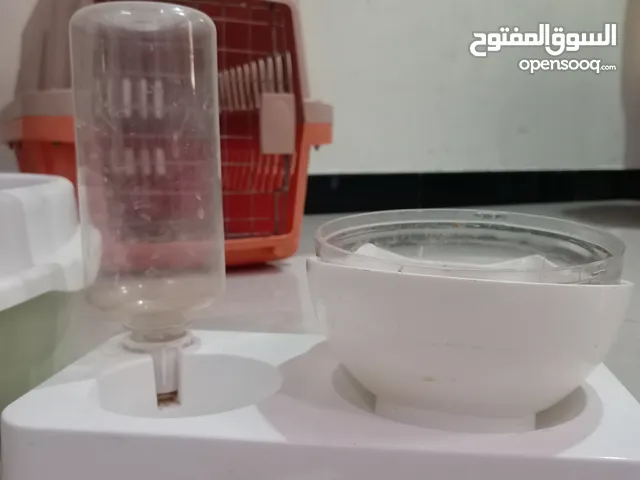 كل ما يلزم القطط قابل للتفاوض