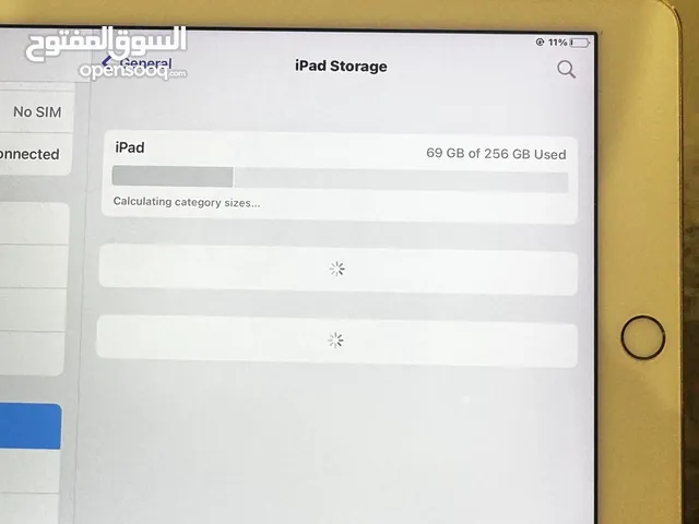 Apple Others 256 GB in Jerash