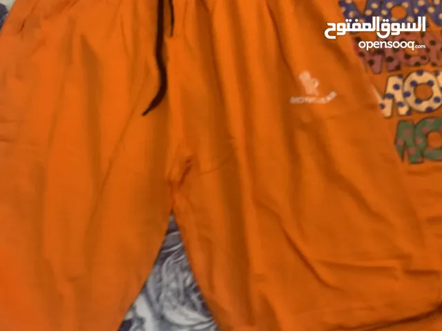 تشيرت برمود