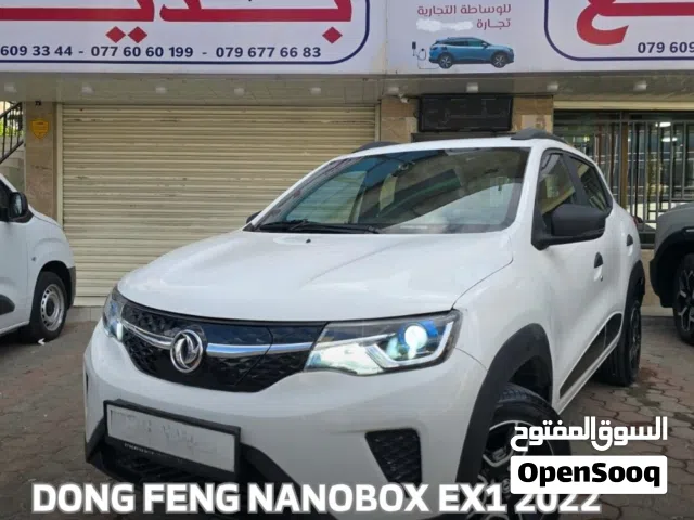 2022 Dongfeng EX1