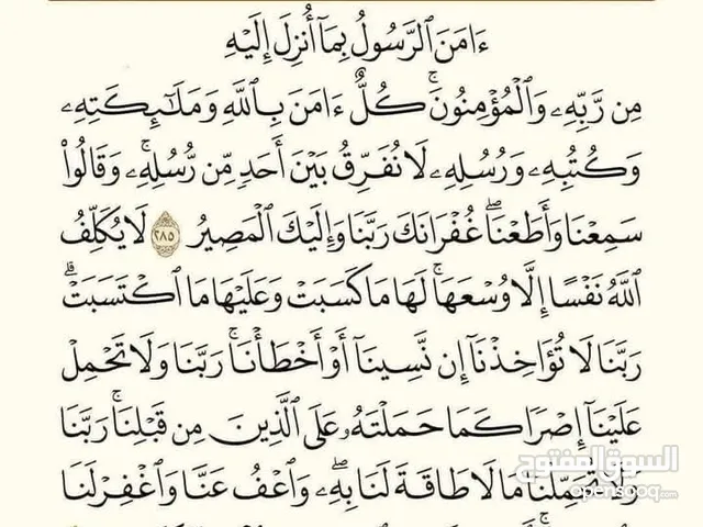 11 جوز هزاز ابيض شي معو فراخ وشي تحتو بيض ب 100
