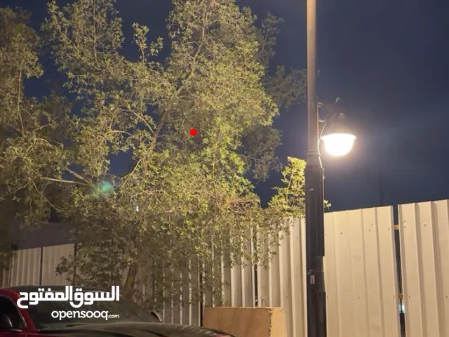 موستنق 2020