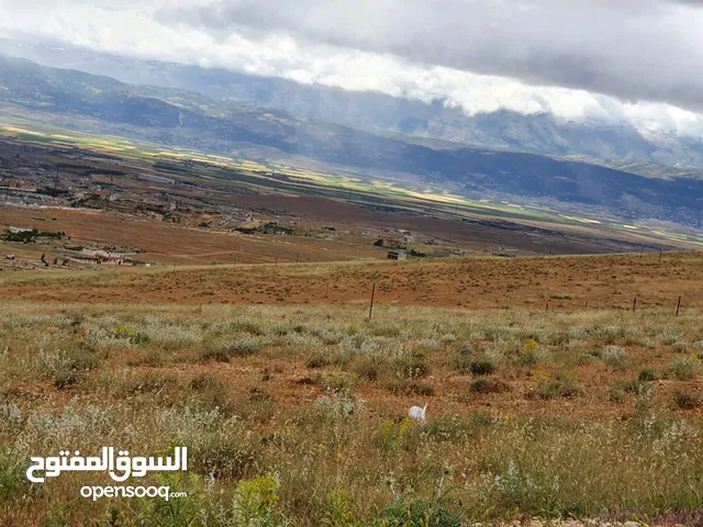Mixed Use Land for Sale in Baalbek Other