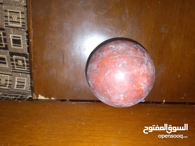 cricket balls