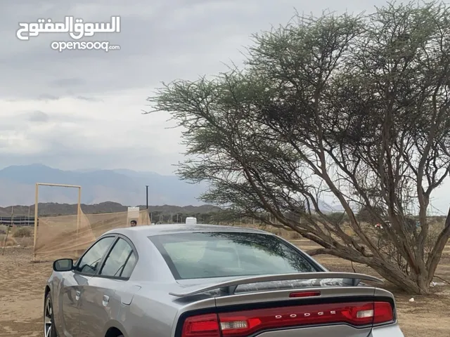 Used Dodge Charger in Muscat