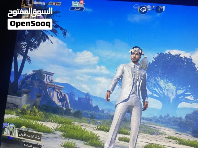 Pubg Accounts and Characters for Sale in Basra
