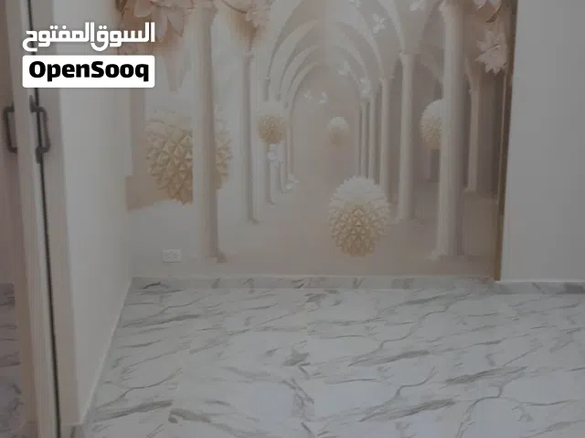 شقة لقطة في ميامي علي العيسوي الرئيسي