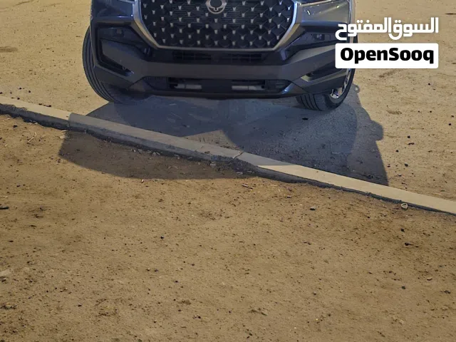 2024 سانغ يونغ ريكستون Standard