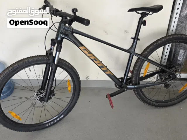 giant mountain bike talon 2