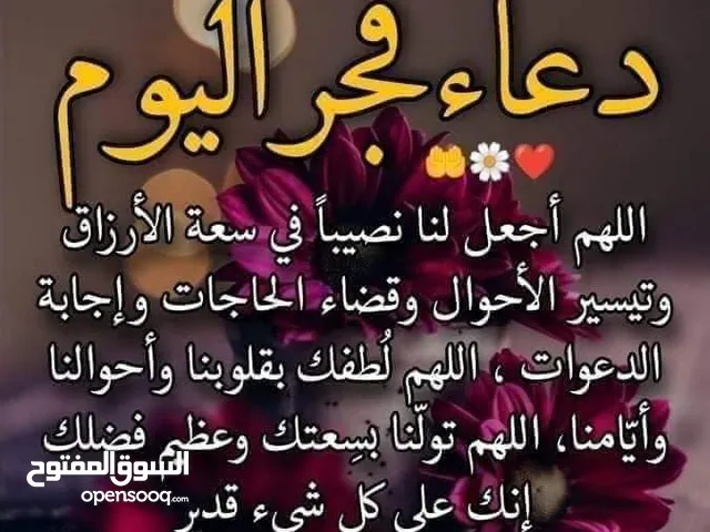 محمد النعيمي