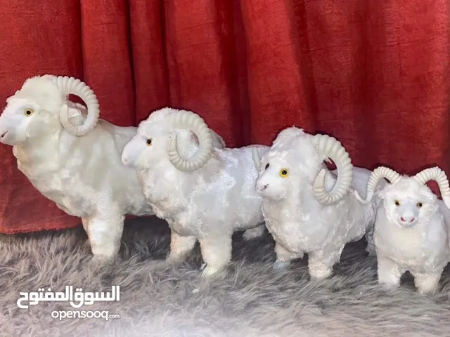 مجسم خروف 
لتزيين الهدايا