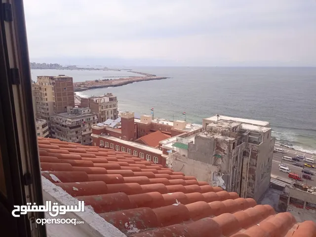 220m2 3 Bedrooms Apartments for Rent in Alexandria Shatby