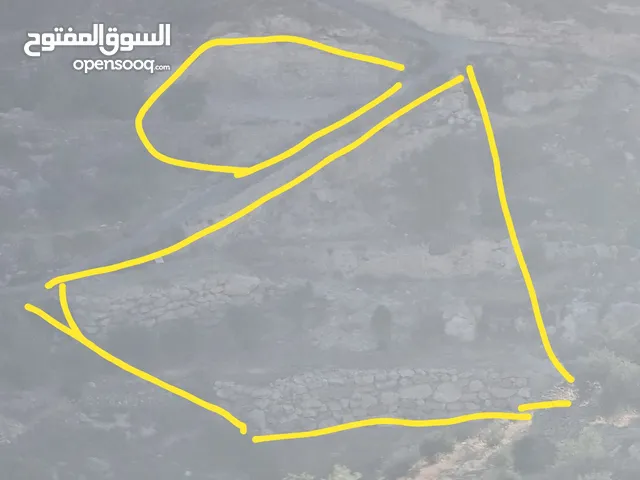 اراضي للبيع بسعر مغري علا الكاش طابو من يد المالك
