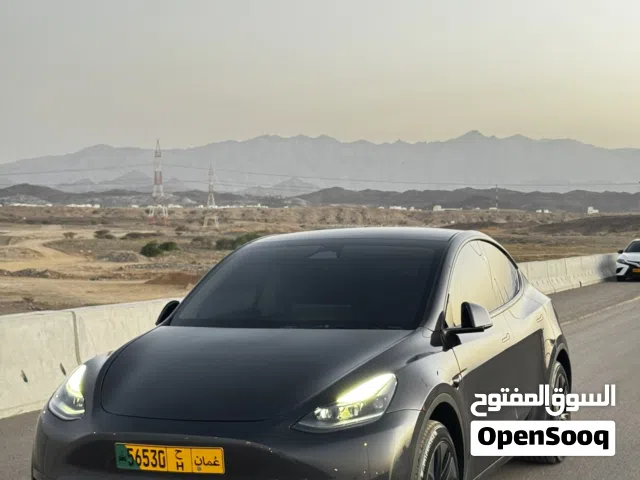 2025 Tesla Model Y Long Range