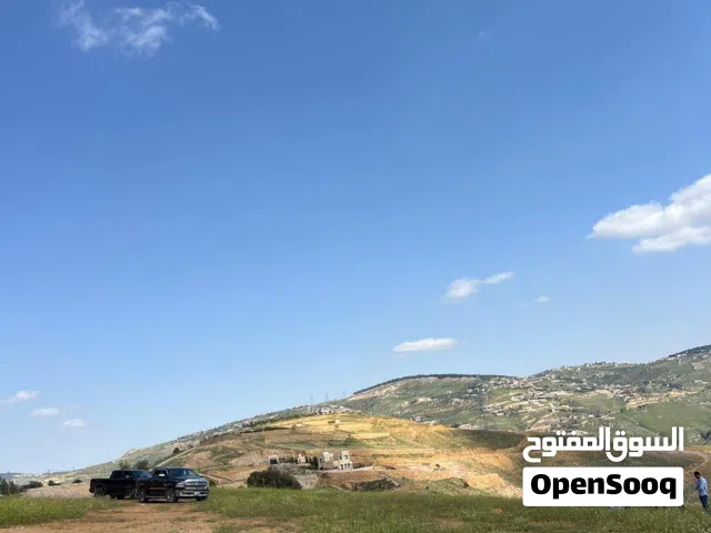 Mixed Use Land for Sale in Jerash Al-Majdal