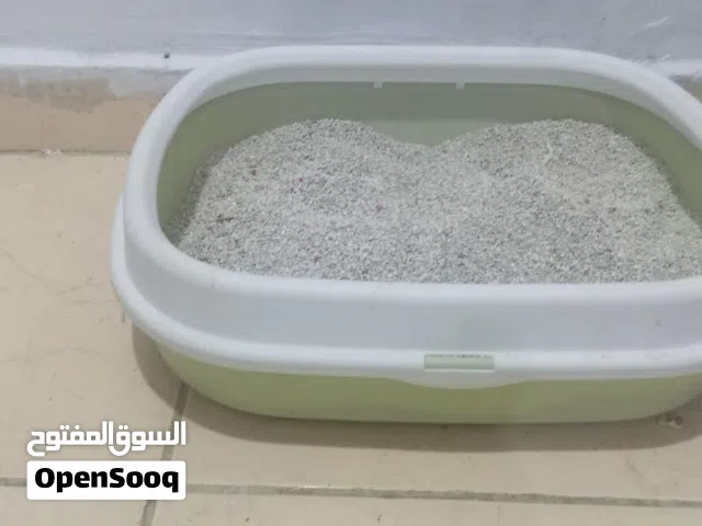 بيت قطط وحقيبة وليتر بوكس بأسعار رمزية