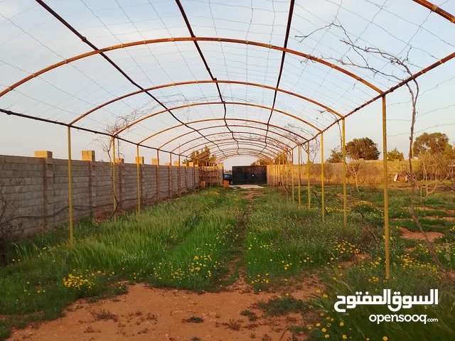 1 Bedroom Farms for Sale in Benghazi Al-Talhia
