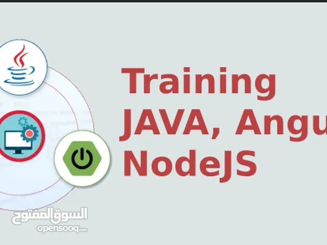 Java, Angular & NodeJS Training Project & Assignment Assistance