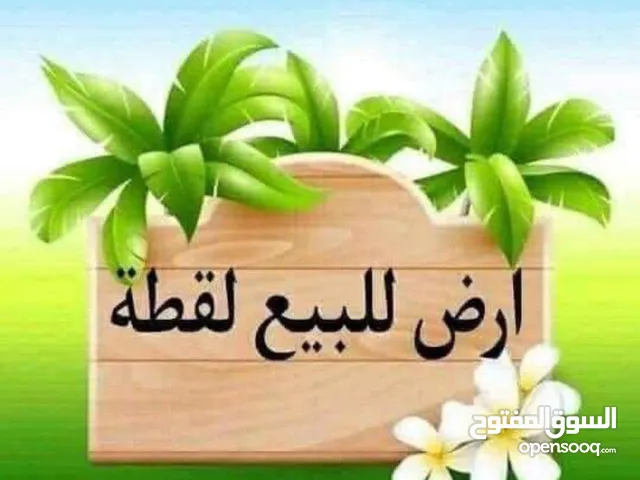 ارض للبيع في منشية بني حسن قوشان مستقل المساحه 4120 م