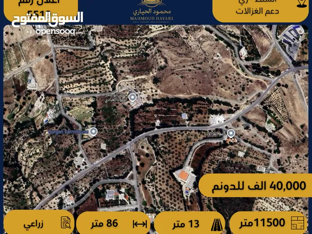 إعلان رقم (5519 ) أرض زراعية مميزة للبيع – السلط / زي – منطقة دعم الغزالات