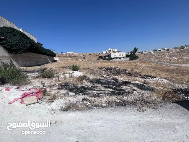 Residential Land for Sale in Amman Zinat Al-Rubue
