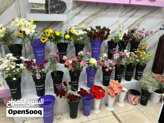 ديكور محل ورد كامل للبيع